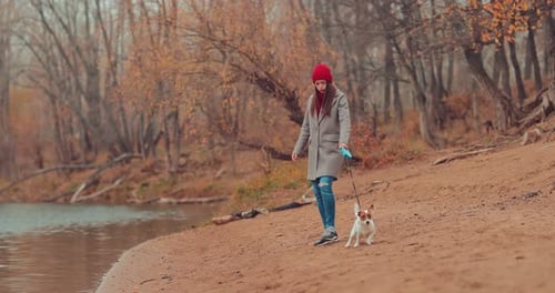 Woman Walking Her Dog on Autumn Beach