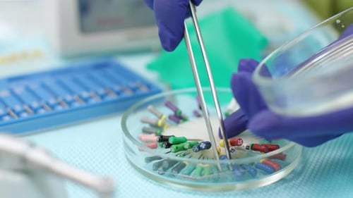 Dentist Selects Colorful Dental Tools with Tweezers