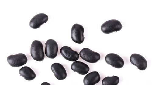 Panning black beans on white