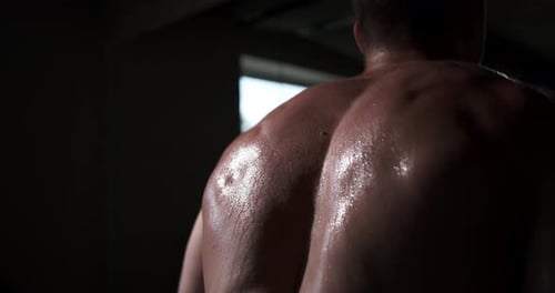 A man in the gym does an exercise by straining his back muscles. Beautiful male body