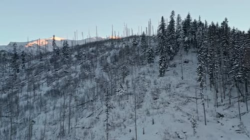Snowy mountains near Zakopane, Poland. Aerial forward ascendent