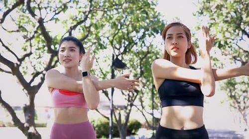 Female Friends Doing Stretching Exercise in Park