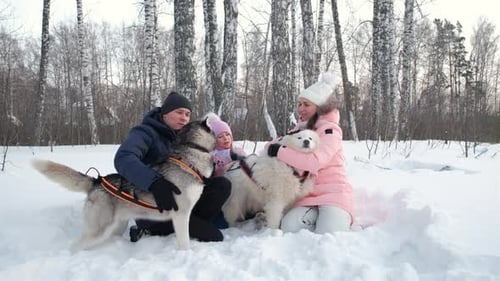 Family Enjoys Winter Day with Dogs in Snow