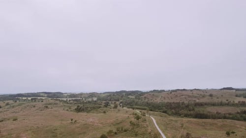 Vast Open Field With Patches of Lush Trees Against the Clear Skies