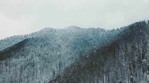 Snowy Mountain Forest Aerial in Winter
