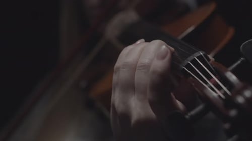 Hands Playing Violin in Close Up Shot