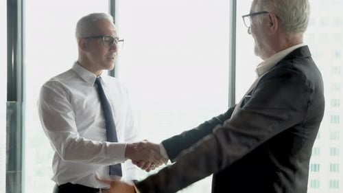 Senior businessman greeting shaking hand and discussion with partnership about work at office.