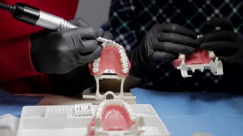 Deux dentistes stagiaires, portant des gants noirs, tiennent des maquettes de la mâchoire d'un homme. Pratique sur le modèle de