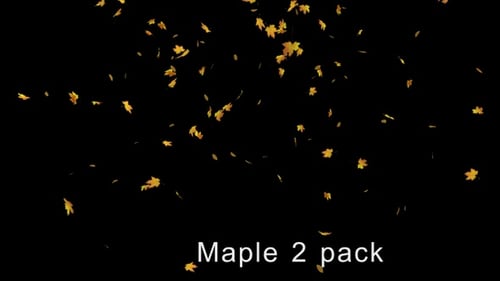 Fallende Ahornblätter 2er-Pack