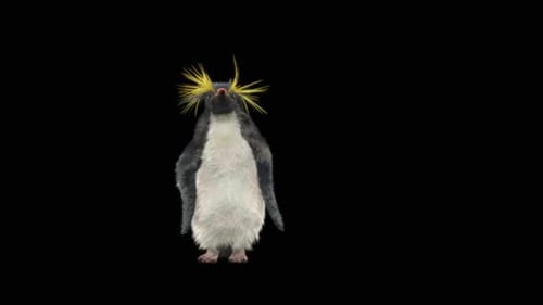 Penguin Dancing HD