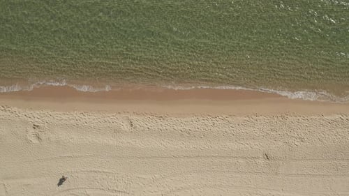 AERIAL: Beautiful Generic Tropical Beach Overhead Shot, Bird's Eye View of Ocean Waves Crashing