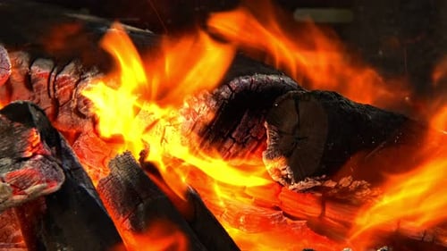 Intense Burning Wood with Bright Flames