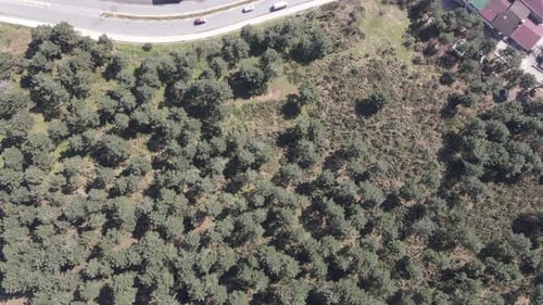 Aerial View Urban and Forest