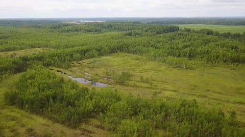 Small Lake In The Forest 14