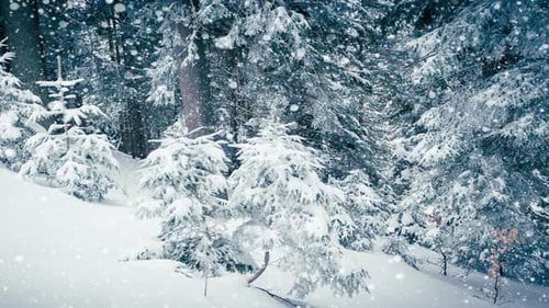 Schöner flauschiger Schnee auf Ästen