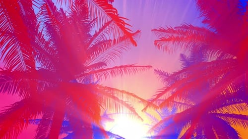 Sommer Hintergrund Bunte Palme
