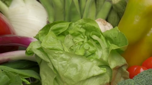 Green salad lettuce vegetables rotating