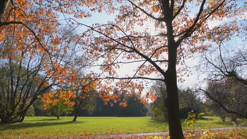 Park