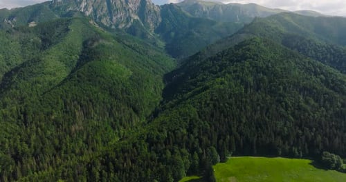 Aerial View of Beautiful Mountain Landscape in Summer Forest and Rocks