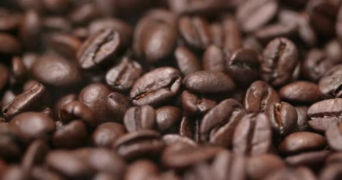 Roasted coffee bean