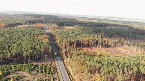 Highway with cars and trucks