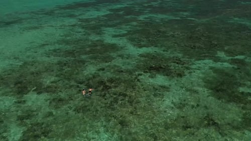 View of the Excursion Catamarans