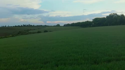 Landwirtschaft auf der grünen Wiese