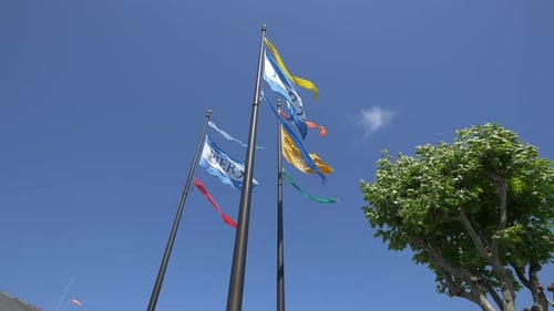 Flags Waving in Wind on a Sunny Day