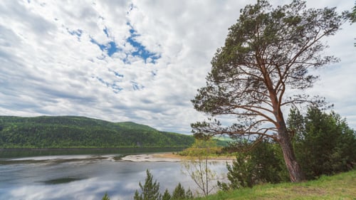 Landscape With River Yenisei