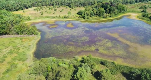 Vue aérienne du lac partiellement asséché, Buurserzand, Overijssel, Pays-Bas.