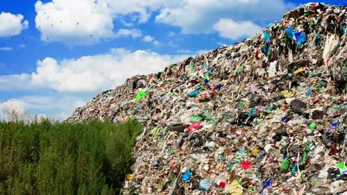 Massive Landfill with Clear Sky and Greenery