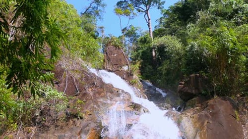 Lush Tropical Waterfall Cascading Through Green Forest