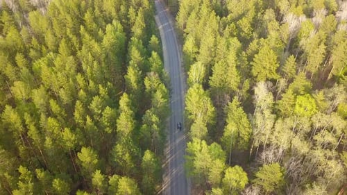 Forest Road