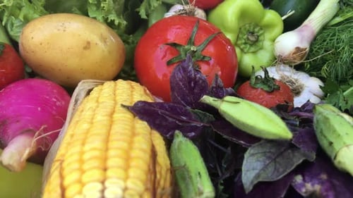 Fresh, Colorful Vegetables and Herbs Close Up