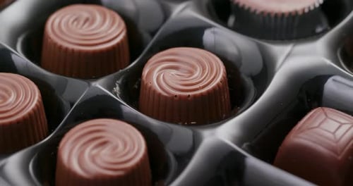 Different chocolate truffles