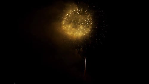 Fireworks Exploding and Glittering in the Night Sky