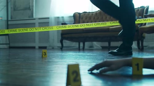 Crime Scene Investigation with Evidence Markers