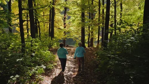 Nordic Walking for Elderly Women in the Forest
