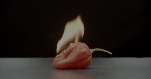 Smoky Jalapeno Pepper on Dark Background