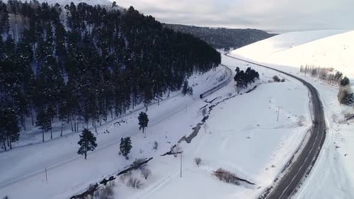 Train and Forest