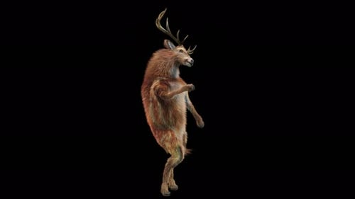 3D Animated Deer Dancing on Hind Legs