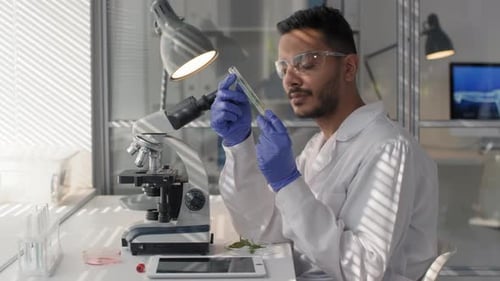 Male Biology Researcher With GM Plant