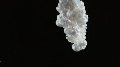 White Ink Cloud Dispersing in Water on Black