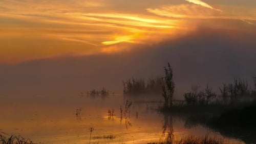 Landscape with Sunrise on River in Fog, Timelapse