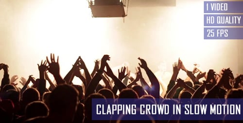 Energetic Crowd Silhouetted at Concert Performance Venue