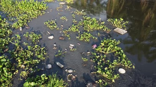 Müllverschmutzung bei Flussspiegelung