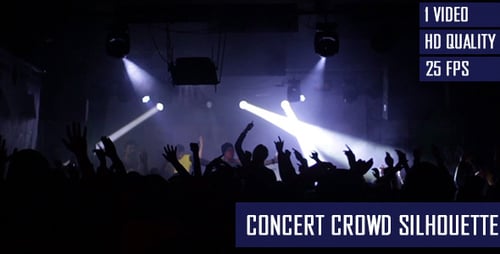 Excited Audience at Night Concert with Stage Lights