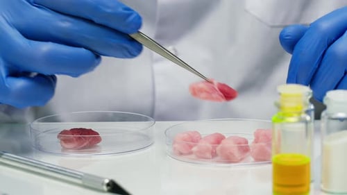Cultured Meat Sample Analyzed in the Laboratory