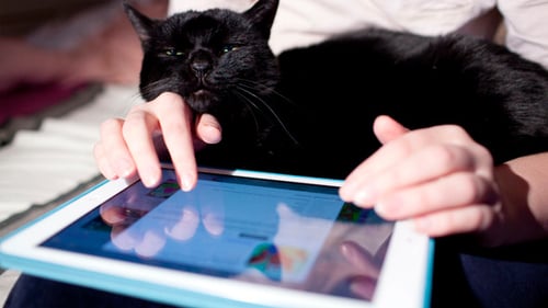 Browsing on Touchpad 1
