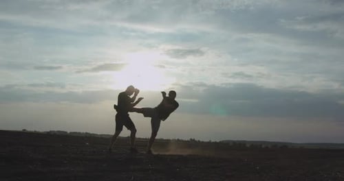 Performance de silhouettes d'arts martiaux dans l'espace sur un immense fond de soleil